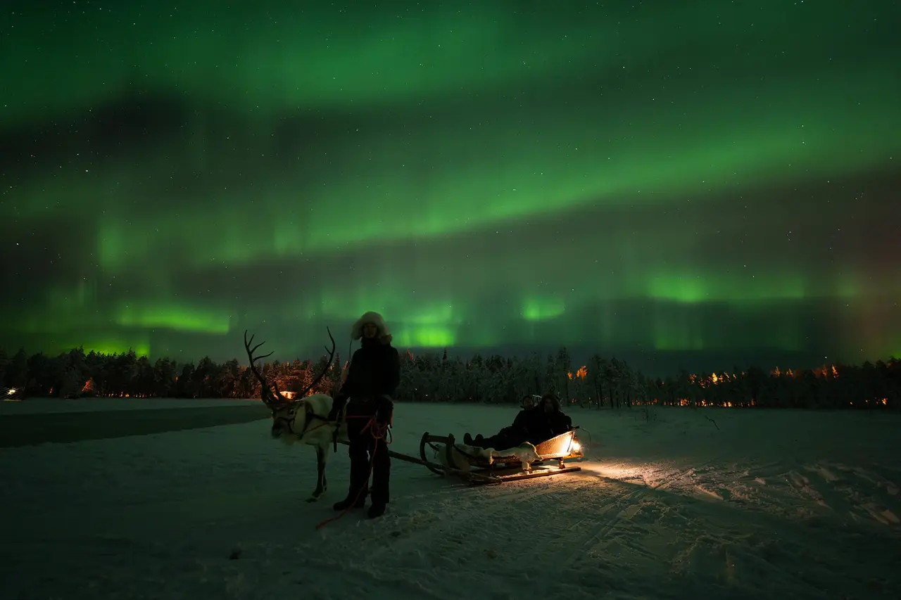 Evening reindeer sleigh ride