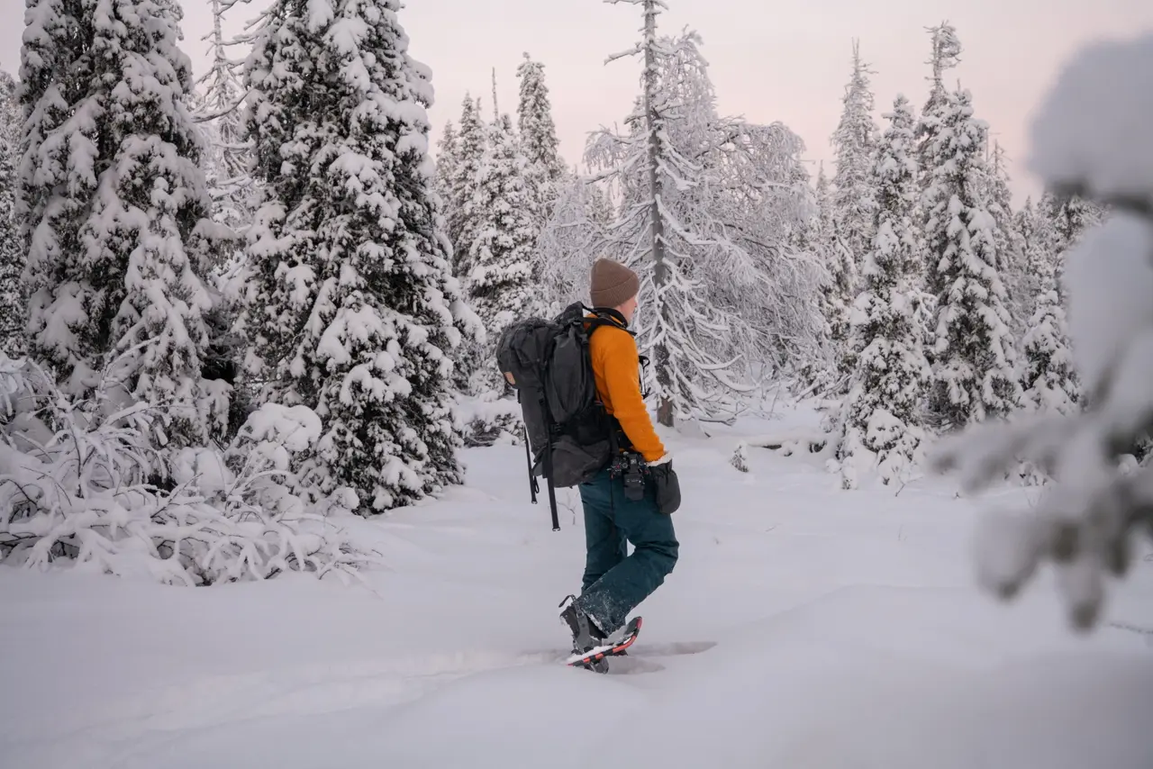 Snowshoeing in Lapland forest