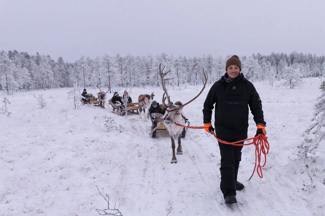 Daytime reindeer sleigh ride