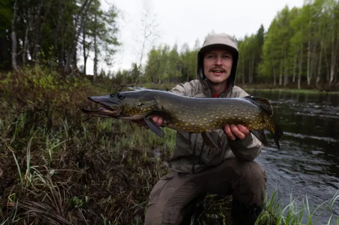 Guided fishing trip to Simojoki River Fishing on Simojoki River