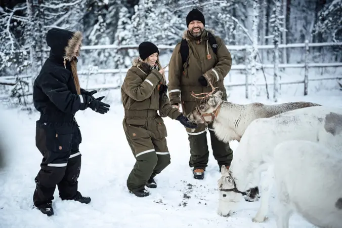 Lupland Activity Park from Rovaniemi Lupland Activity Park transfer product