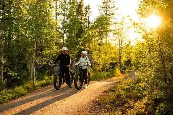 e-Fatbike Equipment Rental for 3h E-fatbike rental in Ranua