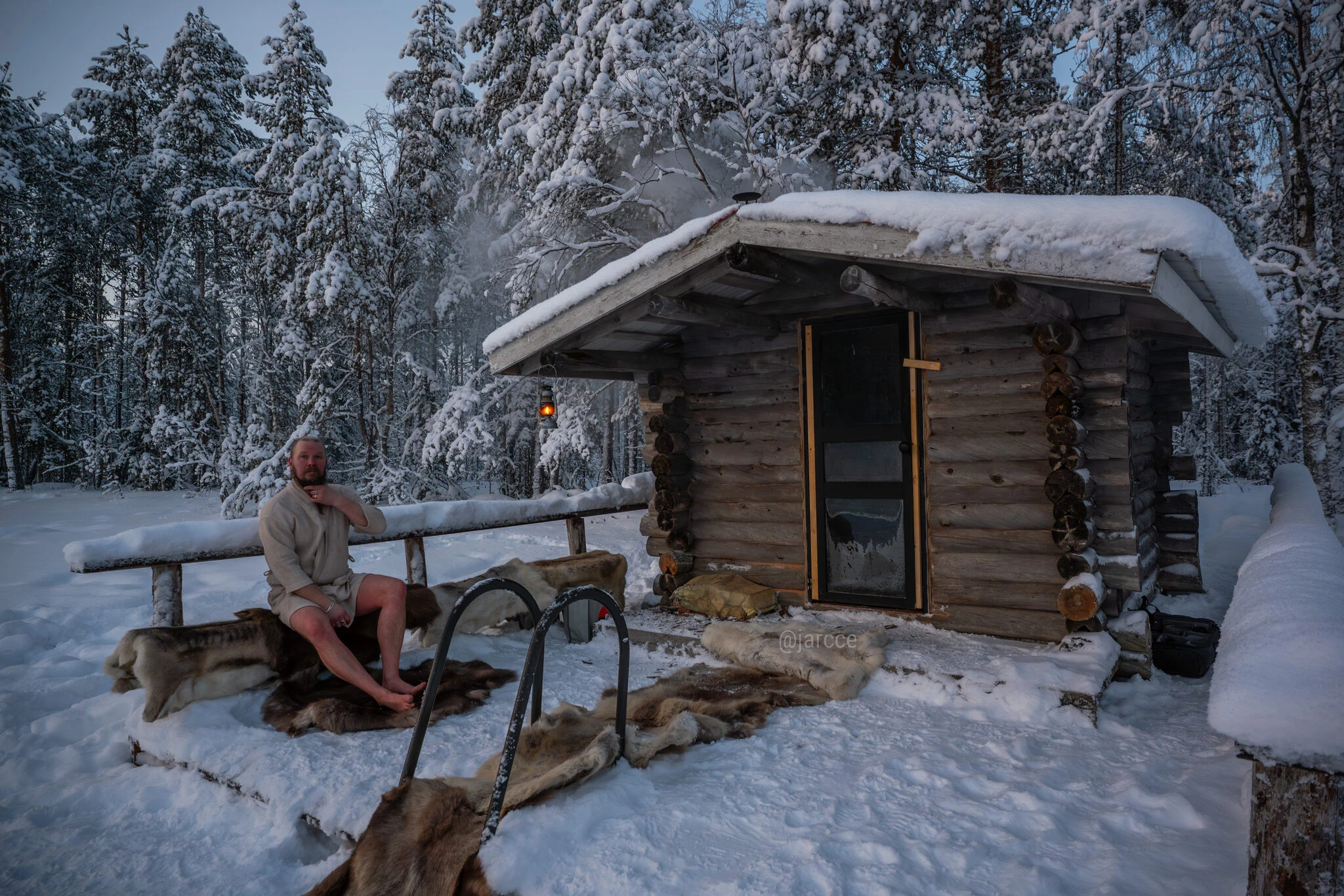 Reindeer sleigh ride night