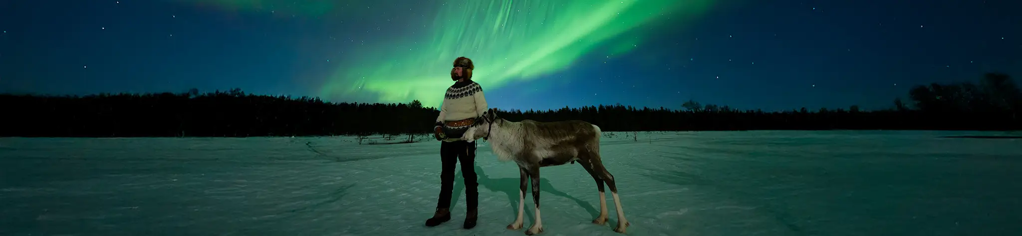Aurora and reindeer