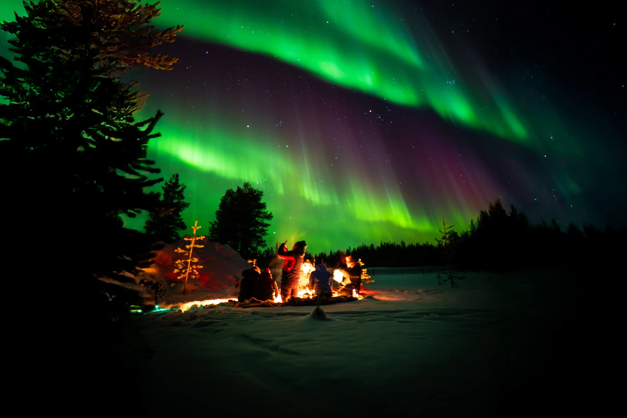 Nordlichter über einem verschneiten Wald in Ranua
