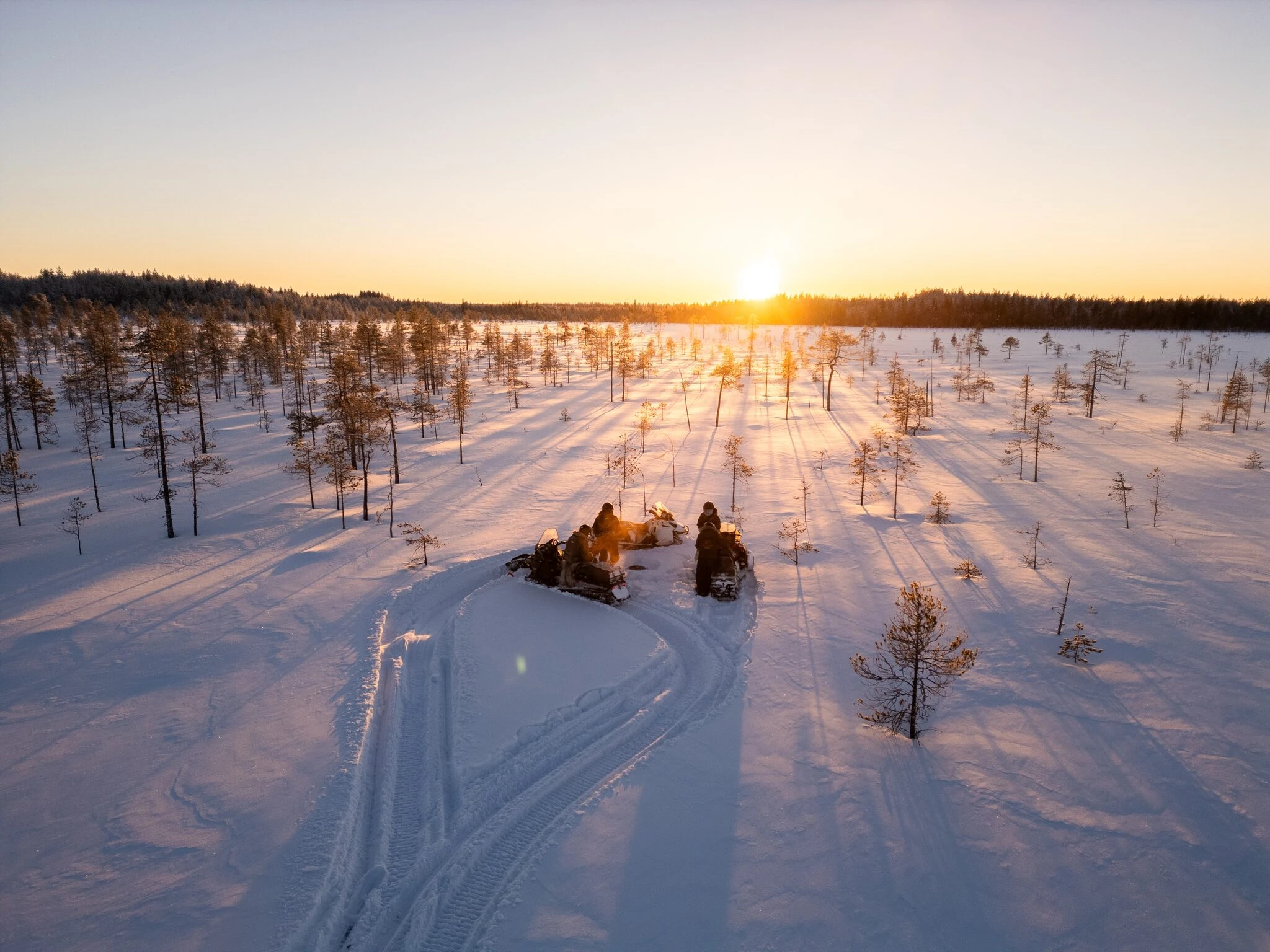 Snowmobile safari in a snowy Lapland landscape