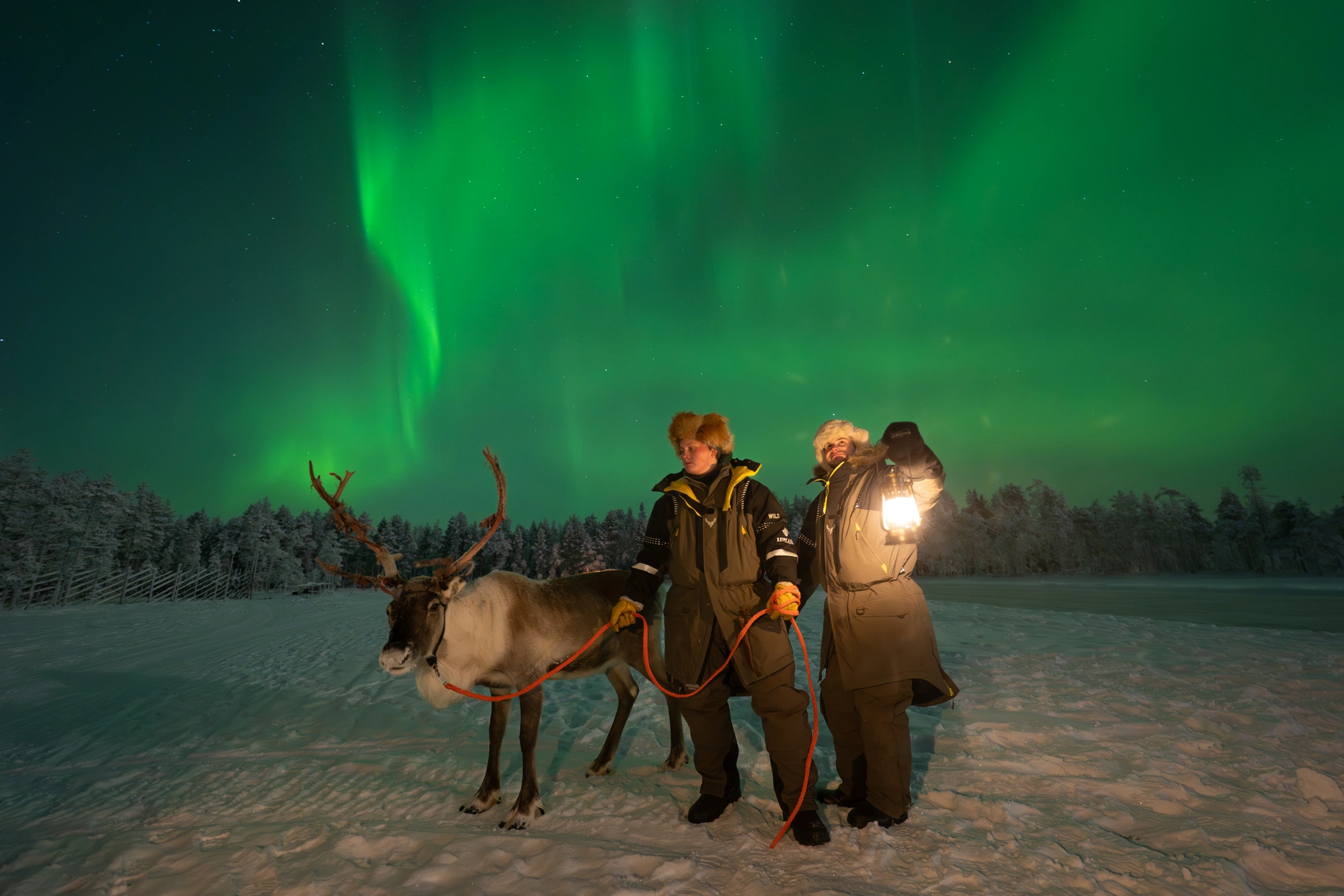 Lappland im Winter – welchen Monat sollten Sie wählen? — cover image
