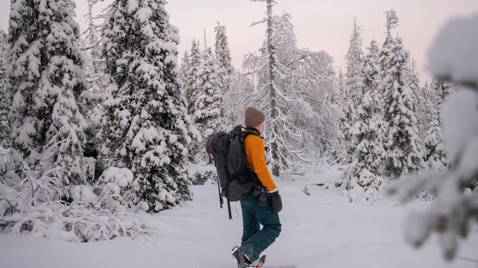 Schneeschuhwandern im Wald Lapplands