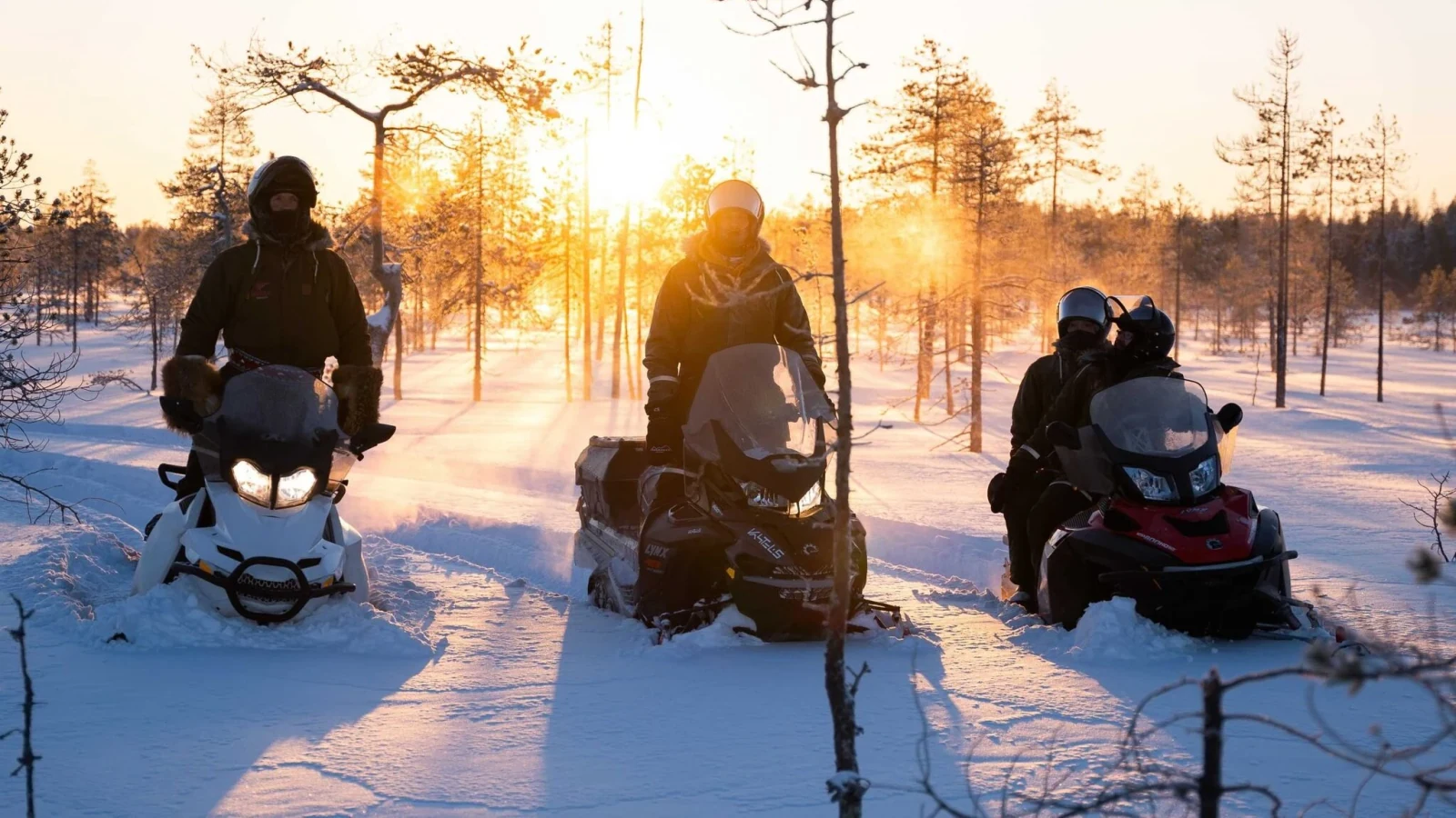 Einstündige Schneemobilsafari